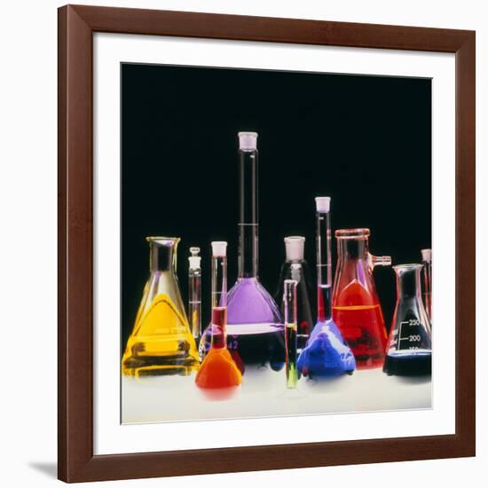 Assortment of Laboratory Flasks Holding Solutions-Tek Image-Framed Photographic Print