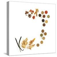 Assortment of Spices-David Munns-Stretched Canvas