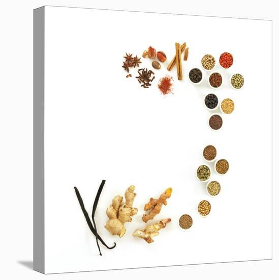 Assortment of Spices-David Munns-Stretched Canvas