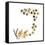 Assortment of Spices-David Munns-Framed Stretched Canvas