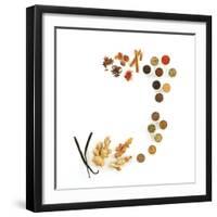 Assortment of Spices-David Munns-Framed Premium Photographic Print