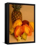 Assortment of Tropical Fruit-Chris Rogers-Framed Stretched Canvas