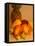 Assortment of Tropical Fruit-Chris Rogers-Framed Stretched Canvas