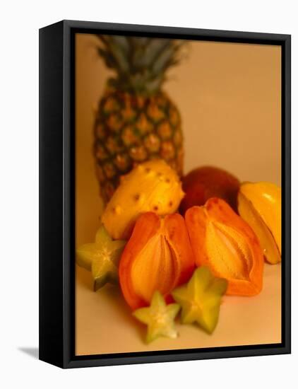 Assortment of Tropical Fruit-Chris Rogers-Framed Stretched Canvas