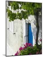 Assos, Kefalonia, Ionian Islands, Greece-Walter Bibikow-Mounted Photographic Print