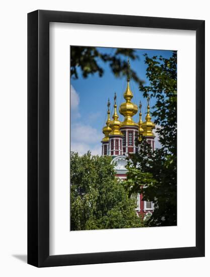 Assumption Church in the Novodevichy Convent, Moscow, Russia, Europe-Michael Runkel-Framed Photographic Print