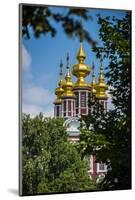 Assumption Church in the Novodevichy Convent, Moscow, Russia, Europe-Michael Runkel-Mounted Photographic Print