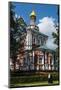 Assumption Church in the Novodevichy Convent, Moscow, Russia, Europe-Michael Runkel-Mounted Photographic Print