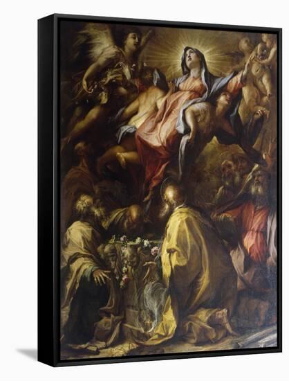 Assumption of the Virgin, 1697-Alessandro Gherardini-Framed Stretched Canvas