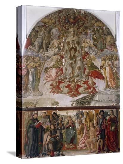 Stretched Canvas Print, , large