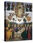 Assumption of the Virgin-Bernardino di Betto Pinturicchio-Stretched Canvas