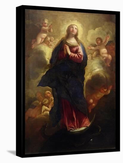 Assumption of the Virgin-Luca Giordano-Stretched Canvas