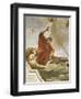 Assumption-Giovanni Battista Tiepolo-Framed Giclee Print