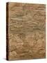 Assyrian Relief of Transport of Lebanese Cedar-null-Stretched Canvas