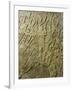 Assyrians Conquering Lachish in 701 BC, Relief from Sennacherib's Palace in Nineveh, Iraq-null-Framed Giclee Print