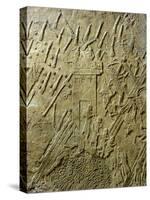 Assyrians Conquering Lachish in 701 BC, Relief from Sennacherib's Palace in Nineveh, Iraq-null-Stretched Canvas