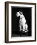 Asta-null-Framed Giclee Print