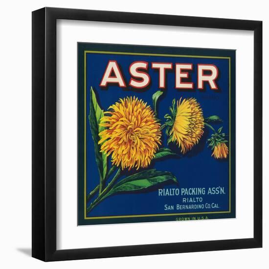 Aster Brand Citrus Crate Label - San Bernardino, CA-Lantern Press-Framed Art Print