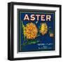 Aster Brand Citrus Crate Label - San Bernardino, CA-Lantern Press-Framed Art Print