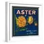 Aster Brand Citrus Crate Label - San Bernardino, CA-Lantern Press-Framed Art Print