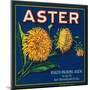 Aster Brand Citrus Crate Label - San Bernardino, CA-Lantern Press-Mounted Art Print