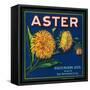 Aster Brand Citrus Crate Label - San Bernardino, CA-Lantern Press-Framed Stretched Canvas