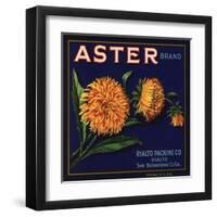 Aster Brand - San Bernardino, California - Citrus Crate Label-Lantern Press-Framed Art Print