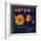 Aster Brand - San Bernardino, California - Citrus Crate Label-Lantern Press-Framed Art Print