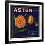Aster Brand - San Bernardino, California - Citrus Crate Label-Lantern Press-Framed Art Print