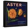 Aster Brand - San Bernardino, California - Citrus Crate Label-Lantern Press-Framed Stretched Canvas