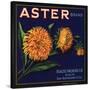 Aster Brand - San Bernardino, California - Citrus Crate Label-Lantern Press-Stretched Canvas