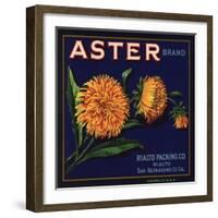 Aster Brand - San Bernardino, California - Citrus Crate Label-Lantern Press-Framed Art Print