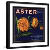 Aster Brand - San Bernardino, California - Citrus Crate Label-Lantern Press-Framed Art Print