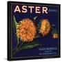 Aster Brand - San Bernardino, California - Citrus Crate Label-Lantern Press-Stretched Canvas
