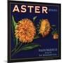 Aster Brand - San Bernardino, California - Citrus Crate Label-Lantern Press-Mounted Art Print
