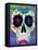 Aster Calavera-Kerri Ambrosino-Framed Stretched Canvas