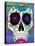 Aster Calavera-Kerri Ambrosino-Stretched Canvas