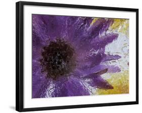 Aster Encased in Ice, Issaquah, Washington, USA,-Darrell Gulin-Framed Photographic Print