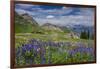 Aster, Lupine, Bistort, Indian Paintbrush, Mt Timpanogos, Utah-Howie Garber-Framed Photographic Print