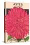 Aster Seed Packet-null-Stretched Canvas