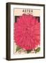 Aster Seed Packet-null-Framed Art Print