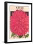 Aster Seed Packet-null-Framed Art Print