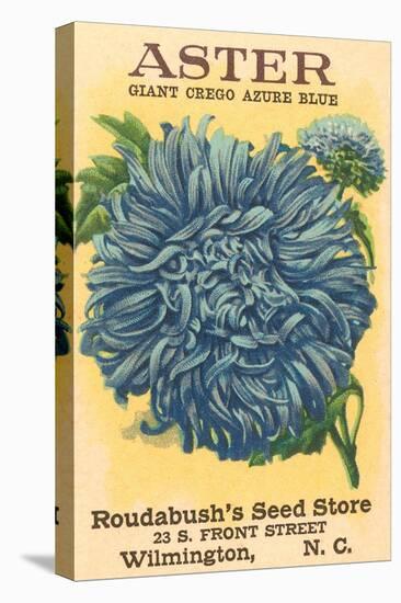 Aster Seed Packet-null-Stretched Canvas