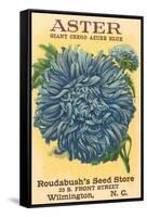 Aster Seed Packet-null-Framed Stretched Canvas