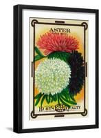 Aster Seed Packet-Lantern Press-Framed Art Print