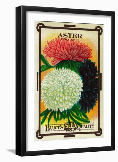 Aster Seed Packet-Lantern Press-Framed Art Print