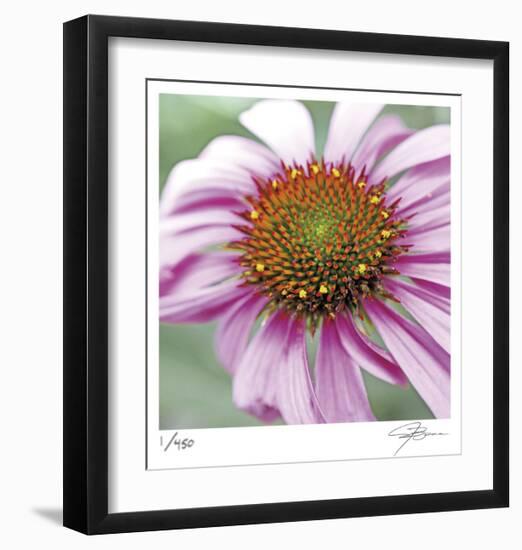 Aster-Ken Bremer-Framed Limited Edition