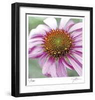 Aster-Ken Bremer-Framed Limited Edition