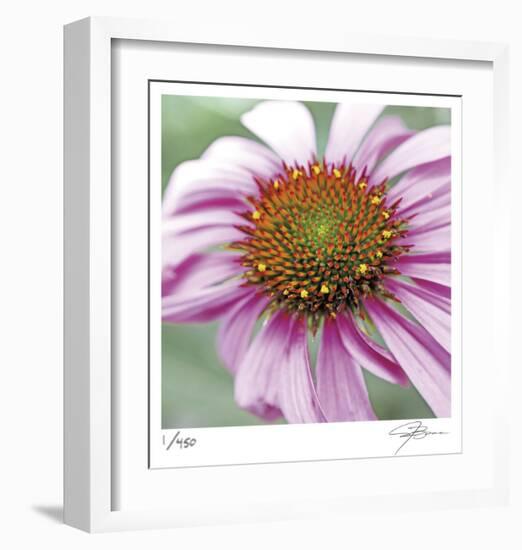 Aster-Ken Bremer-Framed Limited Edition