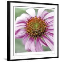 Aster-Ken Bremer-Framed Limited Edition